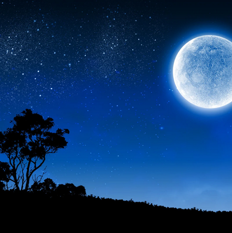 Moon Fortune Reading